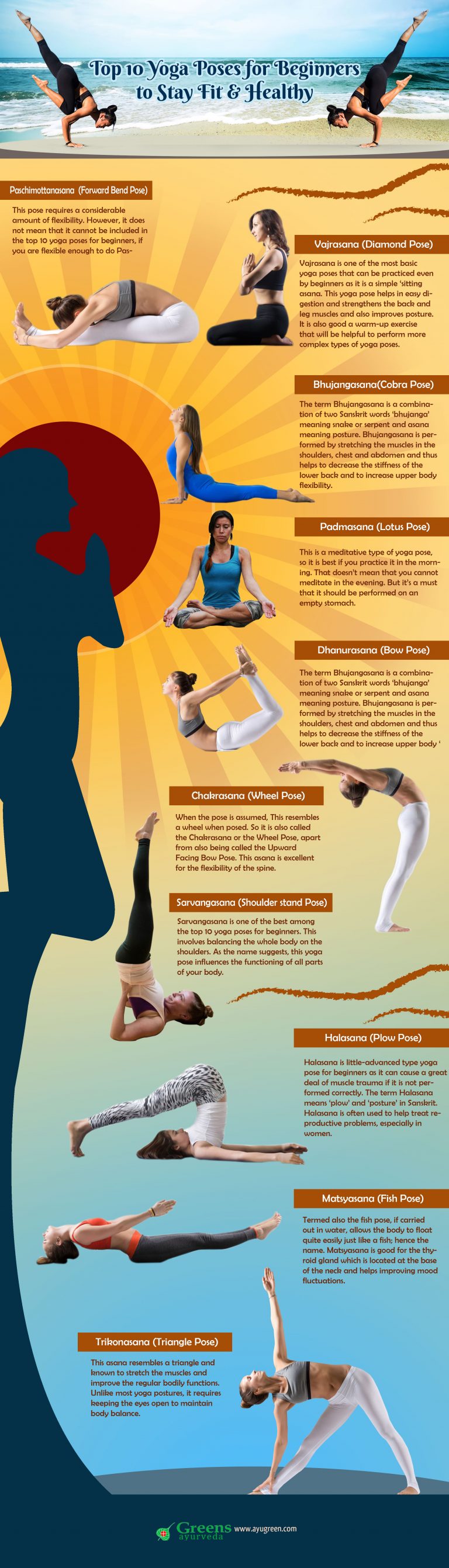 10 Top Yoga Poses For Beginners To Stay Healthy Infographics 